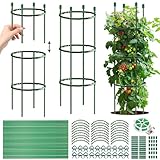 Tomaten Rankhilfe,141 PCS Gurken Rankhilfe Mit Verstellbarer Höhe,Tomatenkäfig,Pflanzenstütze,Tomatenturm,Gurkenturm Rankhilfe,Rankgitter für Tomaten,Gurken,Blumen,Pflanzen,Garten