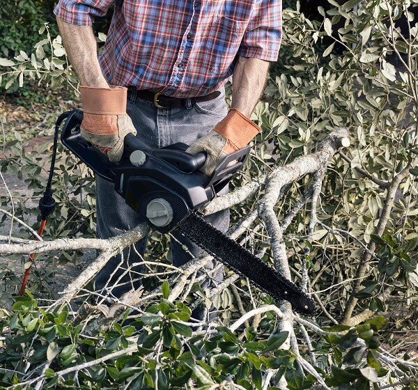 Gartenbfälle mit dem Gartenschredder verwerten
