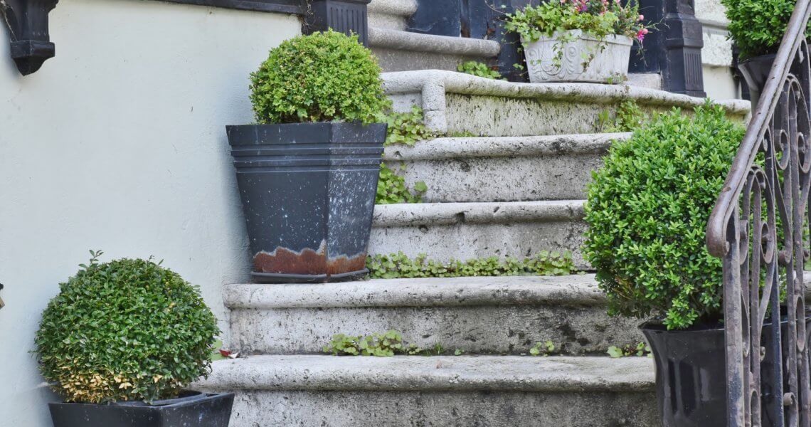 Kesseldruckimprägniertes Holz streichen so macht man das!