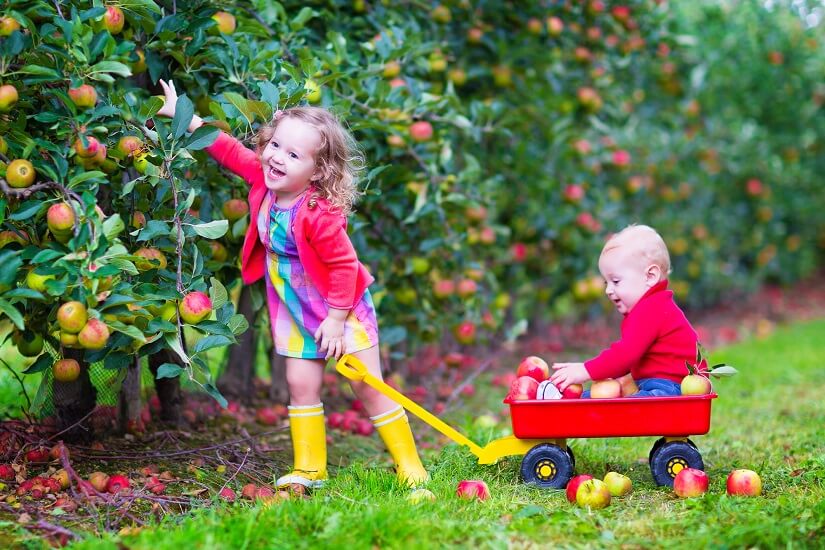 Kinderschubkarre aus Plastik