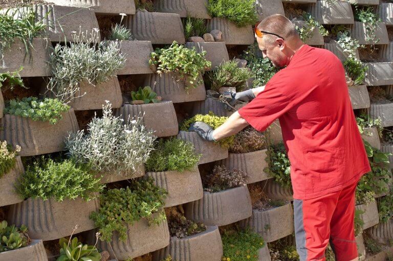 Pflanzsteine Für Ihre Gartenmauer - Heimwerker-Berater