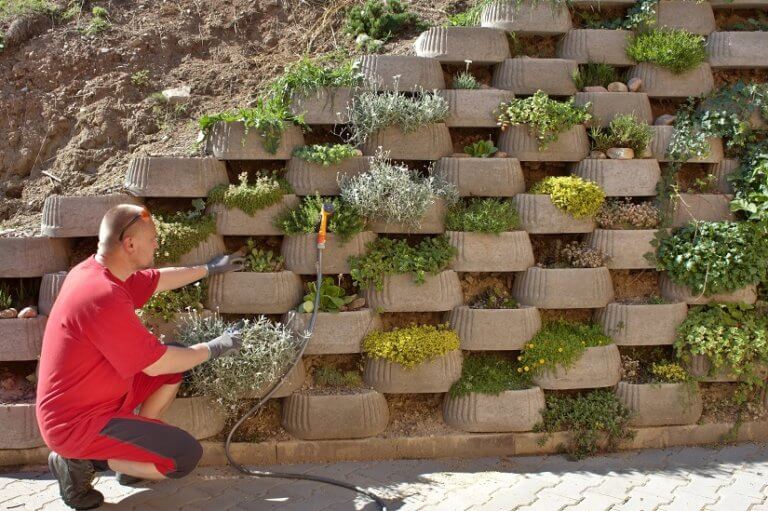 Pflanzsteine für Ihre Gartenmauer HeimwerkerBerater