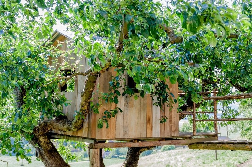 Ein Baumhaus in einem dafür perfekt geeigneten Baum